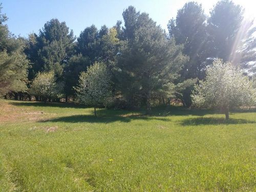 V/L Baggs Road, Whitewater Township, MI, 49690 | Card Image