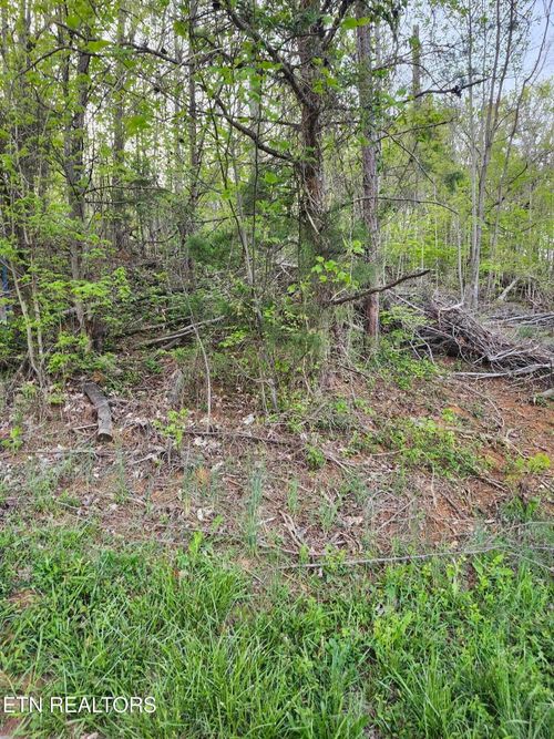 0 Ne Lot #2 Walk In The Trees Dr, New Market, TN, 37820 | Card Image