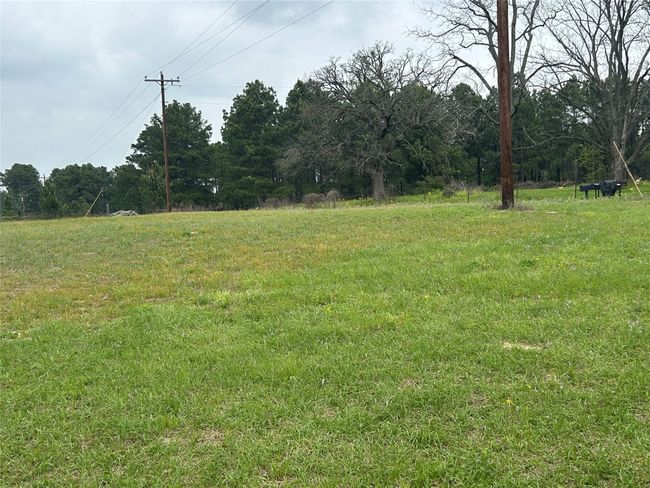 View of yard | Image 38