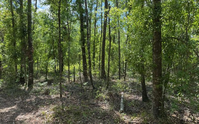 TBD 172 Nd Trce, Home with 0 bedrooms, 0 bathrooms and null parking in LIVE OAK FL | Image 10