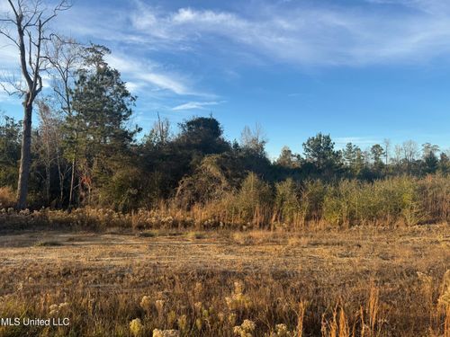 8 Acres Parker Road, McHenry, MS, 39561 | Card Image