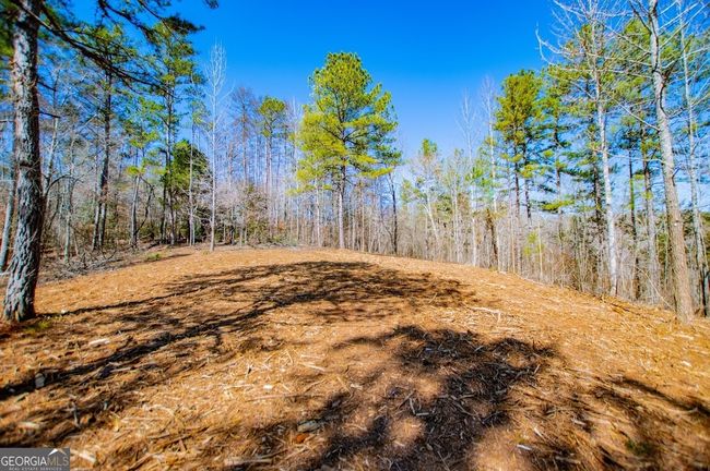 0 County Road 269, Home with 0 bedrooms, 0 bathrooms and null parking in Wedowee AL | Image 11