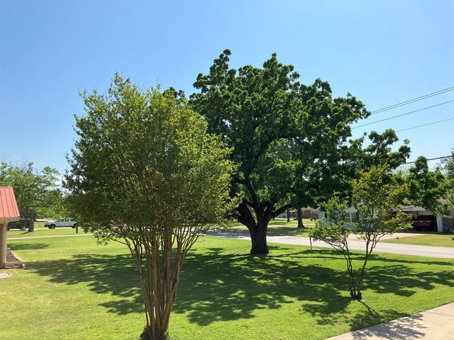 203 Webb Ave, House other with 3 bedrooms, 2 bathrooms and 2 parking in Teague TX | Image 21