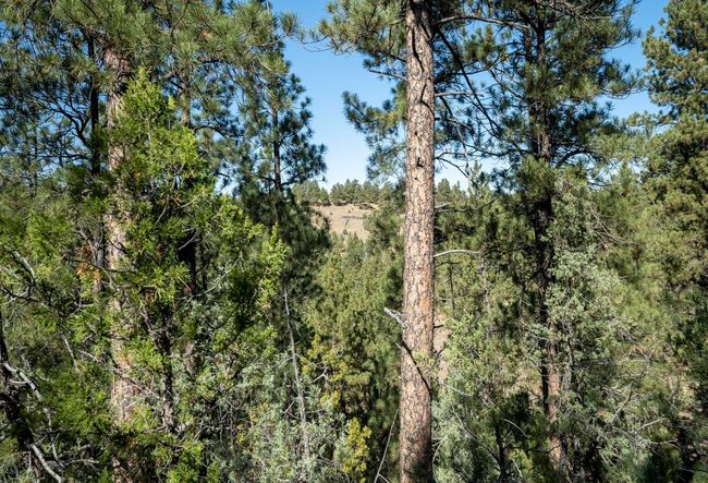 Lot 4 Sunset Ridge Road, Home with 0 bedrooms, 0 bathrooms and null parking in Newcastle WY | Image 21