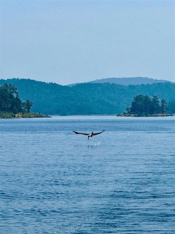 Land in Broken Bow 4