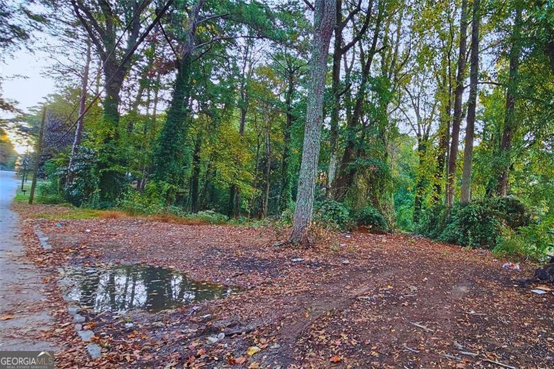 Land in Atlanta 3