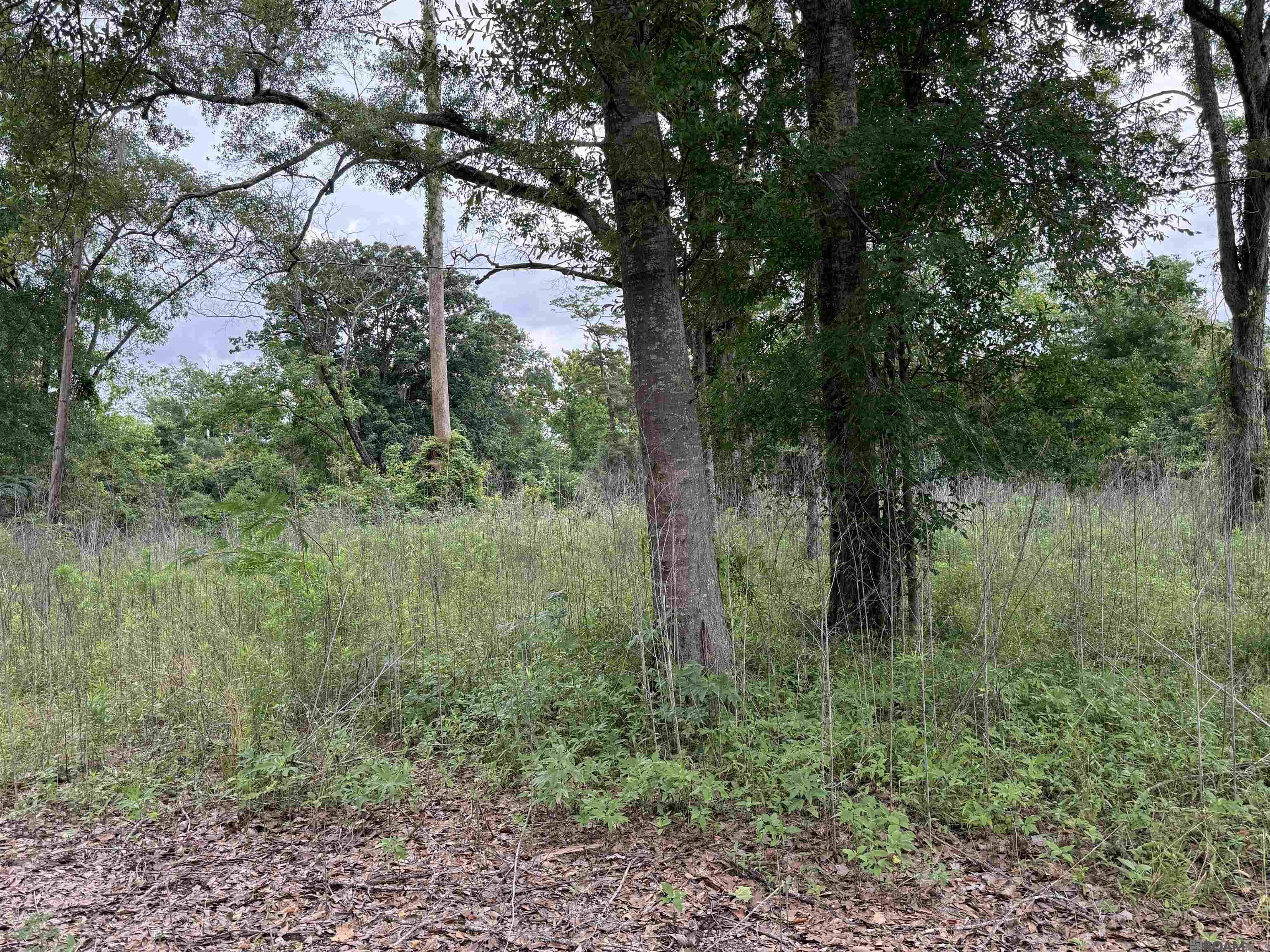 Land in Prairieville 5