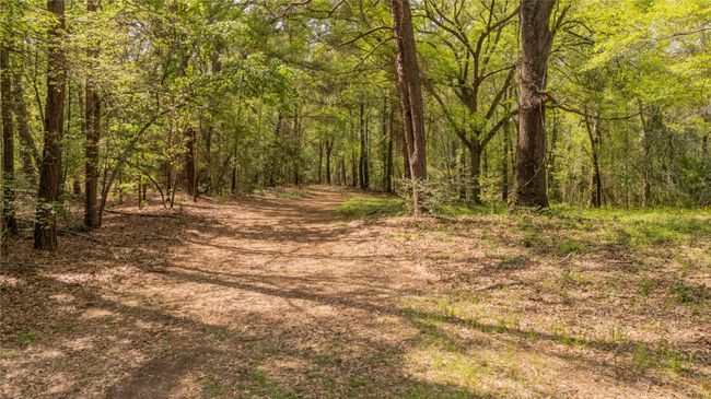 11814 Fm 3226, Home with 0 bedrooms, 0 bathrooms and null parking in Arp TX | Image 13