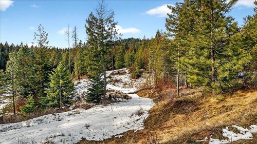 4467 F Williamson Rd, Clayton, WA, 99110-5113 | Card Image