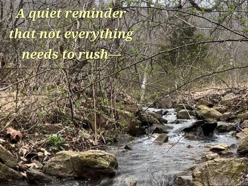 2726 Little Red River Rd, Marshall, AR, 72650 | Card Image