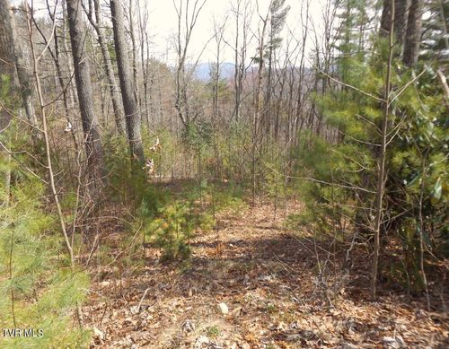 401 Chestnut Cir, Butler, TN, 37640-5926 | Card Image