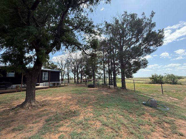 447 W Fm 1606, House other with 3 bedrooms, 2 bathrooms and 2 parking in Ira TX | Image 28