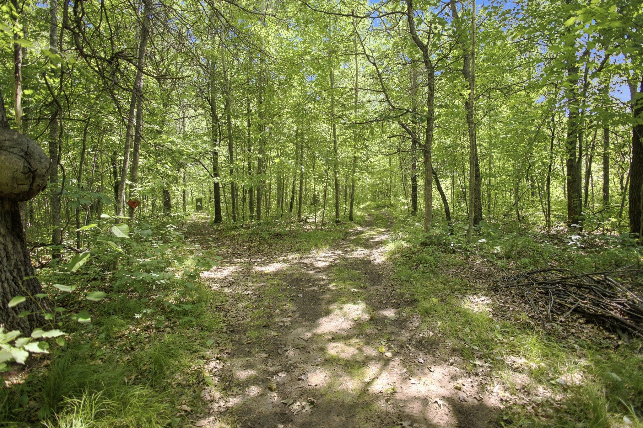 Residential in Grantsburg 4