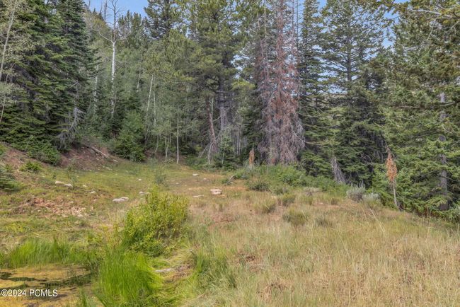 10780 N Ford Ridge Rd, Home with 0 bedrooms, 0 bathrooms and null parking in Helper UT | Image 32