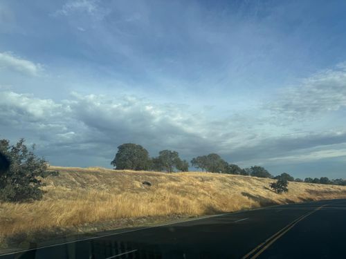 62.6 AC La Grange Rd, La Grange, CA, 95329 | Card Image