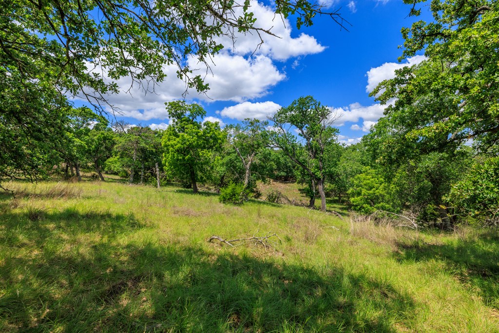 Farm in Fredericksburg 5