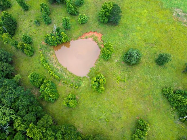 Bird's eye view | Image 7