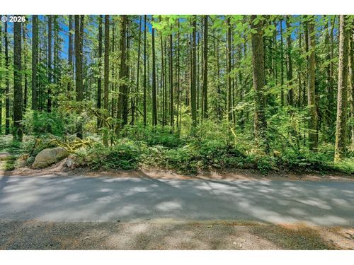 0 E John Lake Rd, Rhododendron, OR, 97049 | Card Image