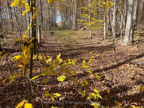 Part Lot 17 Grey Road 17 Road E, Georgian Bluffs, ON, N0H2T0 | Card Image