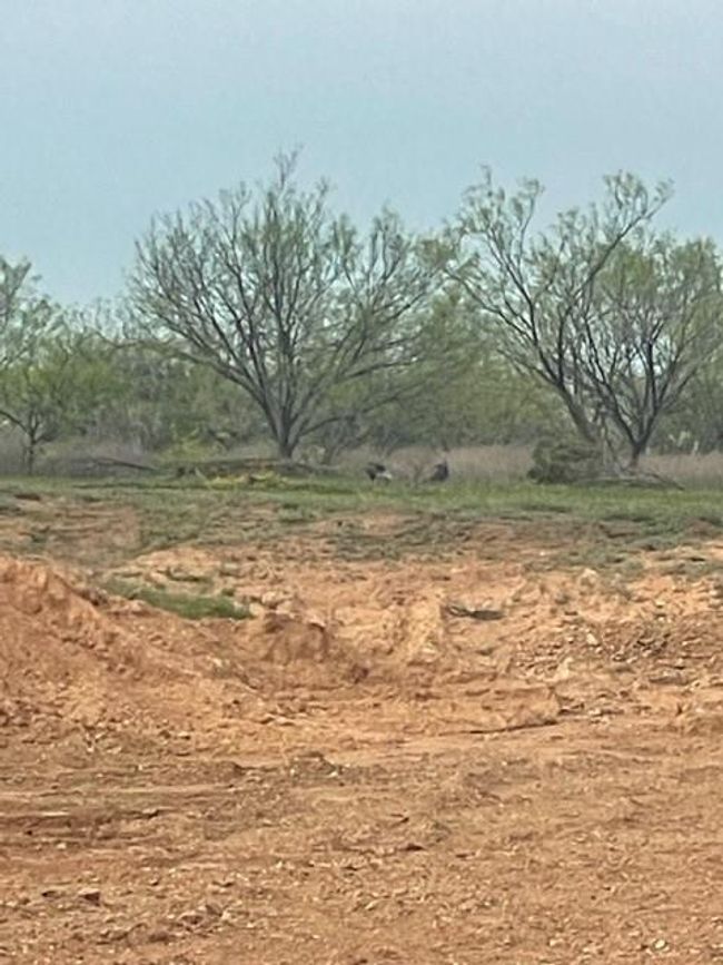 122 Private Road 2562, For Sale in Santa Anna Zoocasa