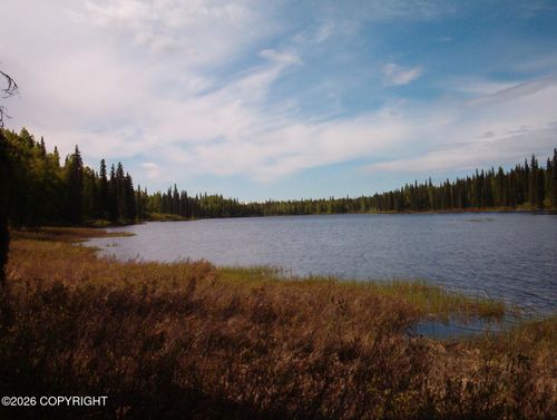 Tr A Trappers Dr, Trapper Creek, AK, 99683 | Card Image