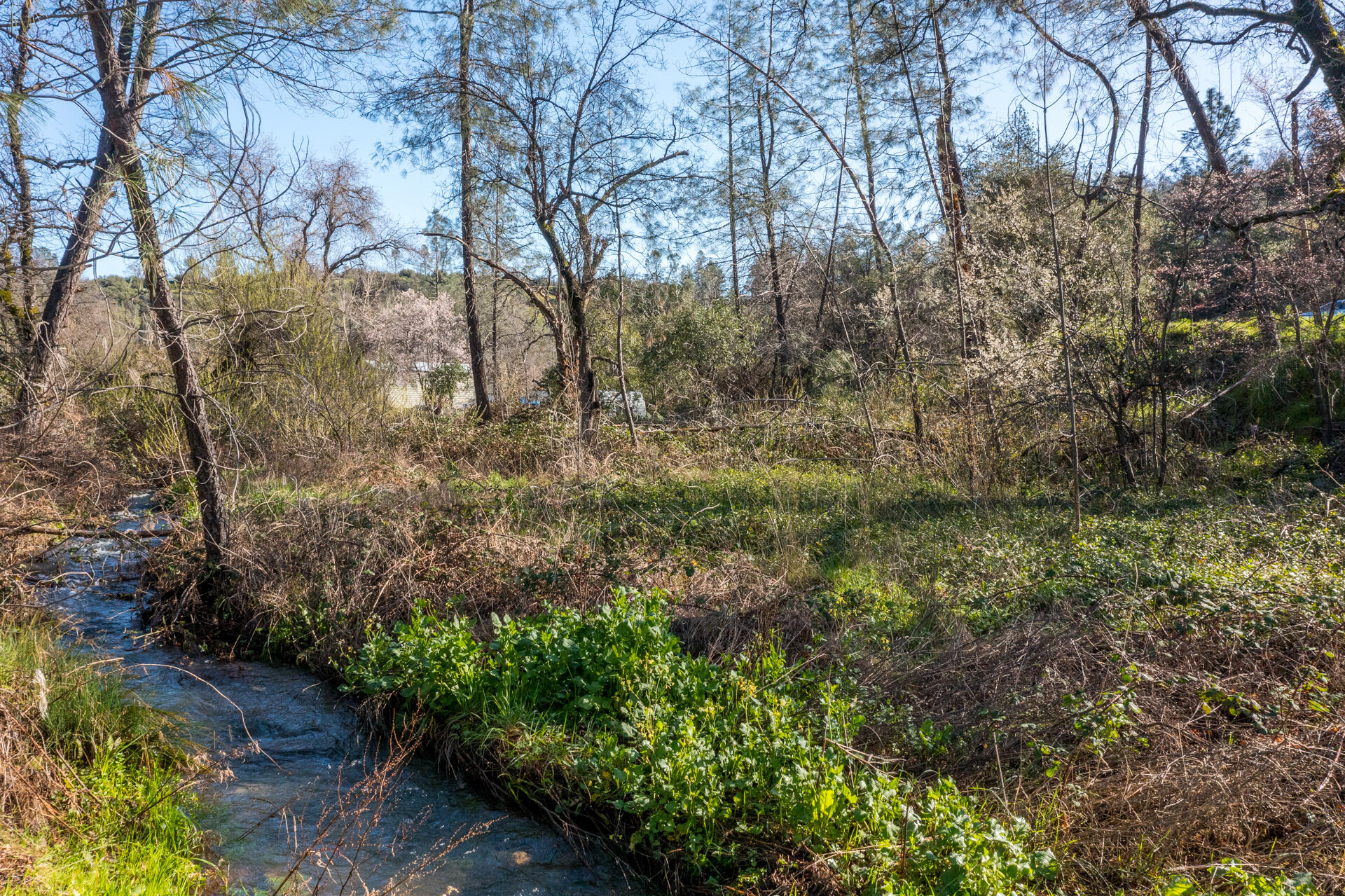 Land in Redding 2