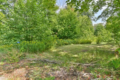 316 High Shore Rd, Marmora, ON, K0K2M0 | Card Image