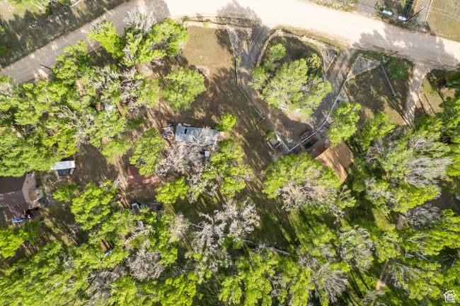 Bird's eye view | Image 57