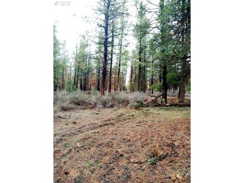 1 Forest Rd, Chiloquin, OR, 97624 | Card Image