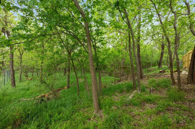 View of local wilderness with a forest view | Image 22