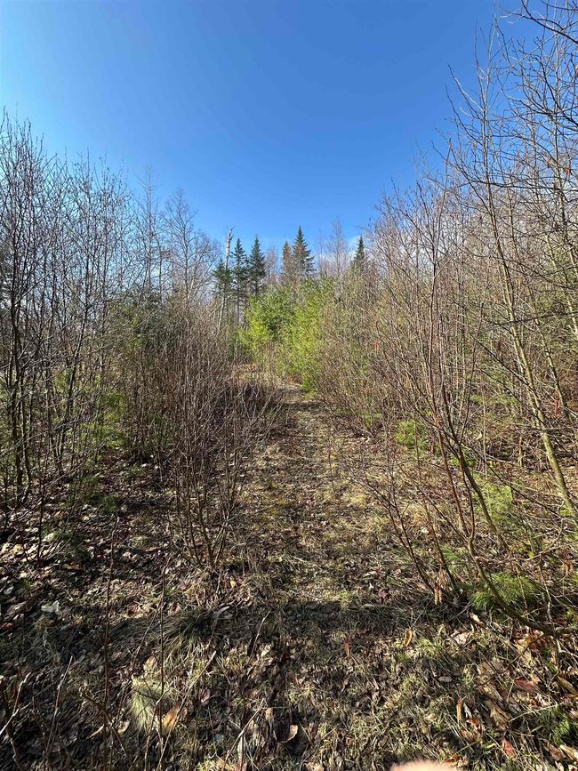 0 Agassiz St, Home with 0 bedrooms, 0 bathrooms and null parking in Bethlehem NH | Image 11