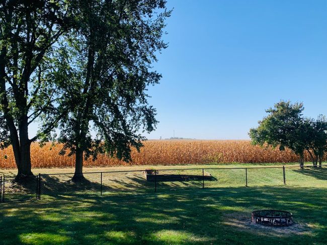 Backyard View - Facing South | Image 4