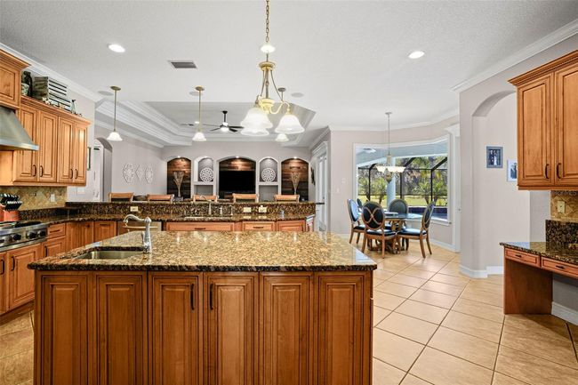 11518 Hammock Oaks Ct, House other with 4 bedrooms, 6 bathrooms and null parking in LITHIA FL | Image 12