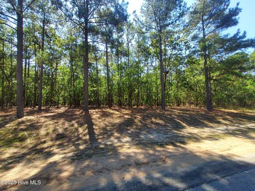 32 Peach Orchard Rd, Wagram, NC, 28396 | Card Image
