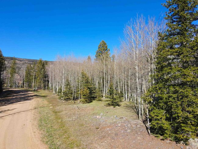 2 Acres Off Quail Ridge, Home with 0 bedrooms, 0 bathrooms and null parking in Angel Fire NM | Image 13
