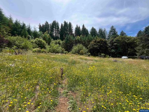 28908 Lake Lyons Rd, Alsea, OR, 97432 | Card Image