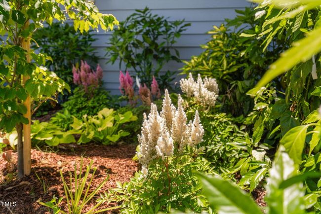 Gardens | Image 41