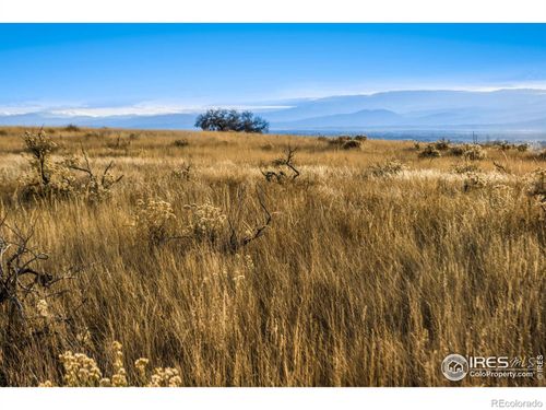 7923 County Road 84, Fort Collins, CO, 80524-9122 | Card Image