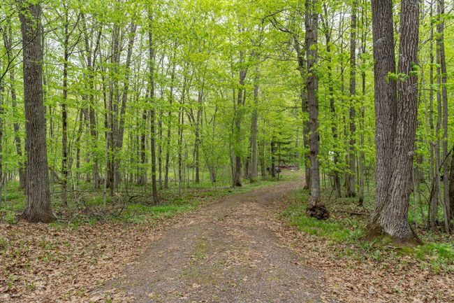 7418 Flambeau Point Rd, Home with 0 bedrooms, 0 bathrooms and null parking in LADYSMITH WI | Image 7