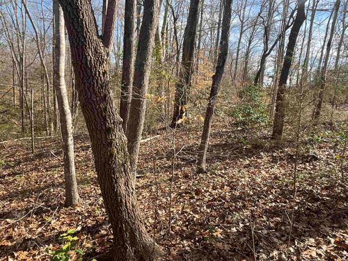 161 Little River Trl, Indian Land, SC, 29707-9604 | Card Image