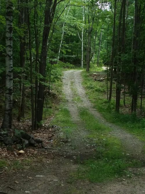 00 Old Wolfeboro Rd, Alton, NH, 03809 | Card Image