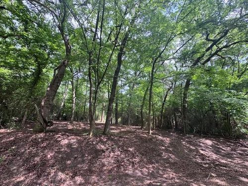 TBD5 Spreading Oak, Trinity, TX, 75862 | Card Image