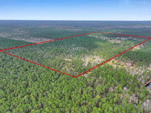 1961 Hargroves Ln, Kountze, TX, 77625 | Card Image