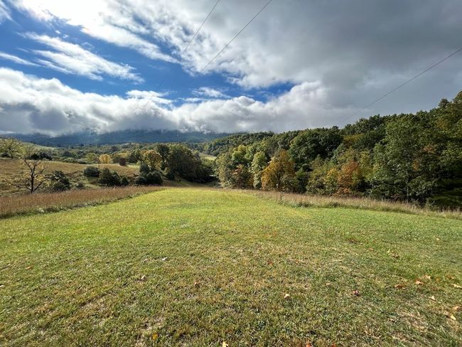 621 Point Pleasant Rd, House other with 2 bedrooms, 1 bathrooms and null parking in BLAND VA | Image 45