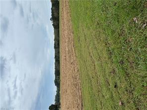Land in Williamsburg 5