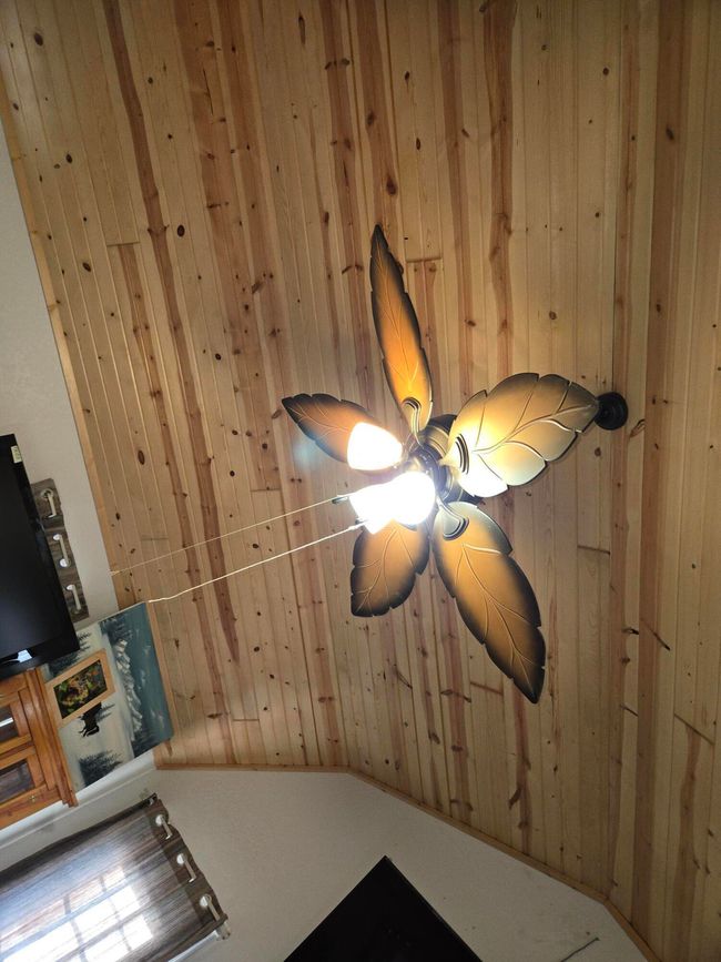 celling and fan | Image 15