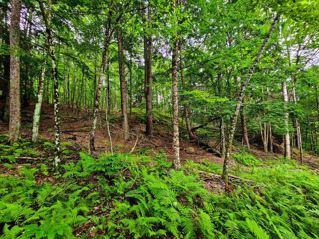 873 Royston Rdg, House other with 2 bedrooms, 0 bathrooms and null parking in Wells River VT | Image 22