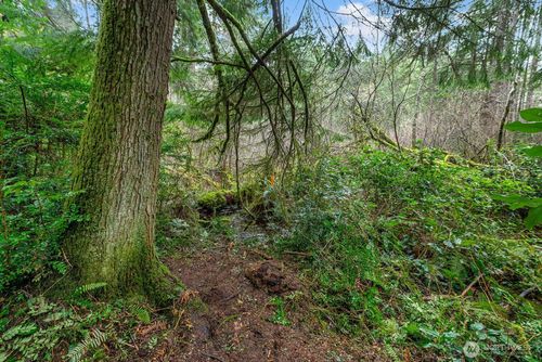 0 Sw 220th Street, Vashon, WA, 98070 | Card Image