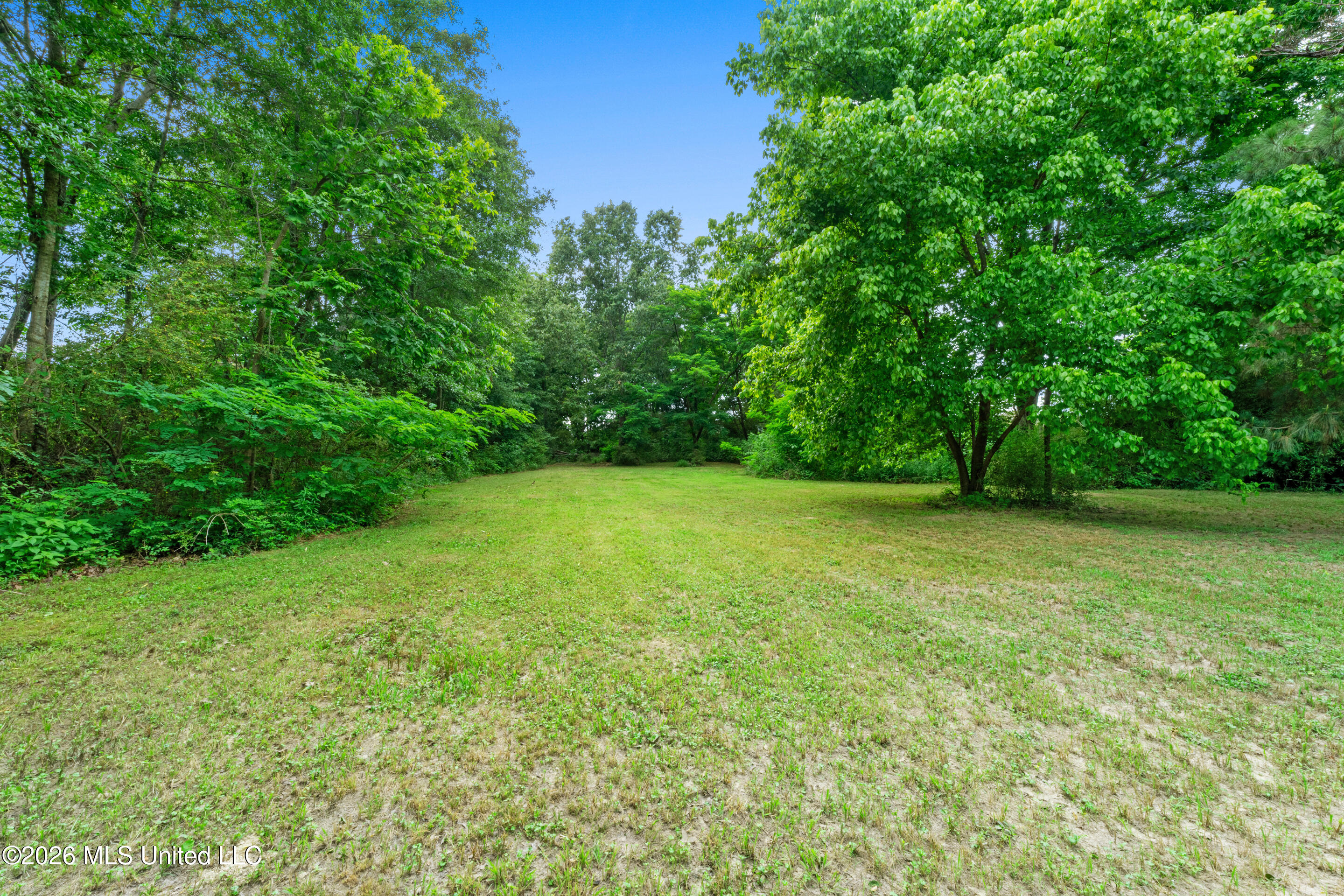 Land in Olive Branch 3