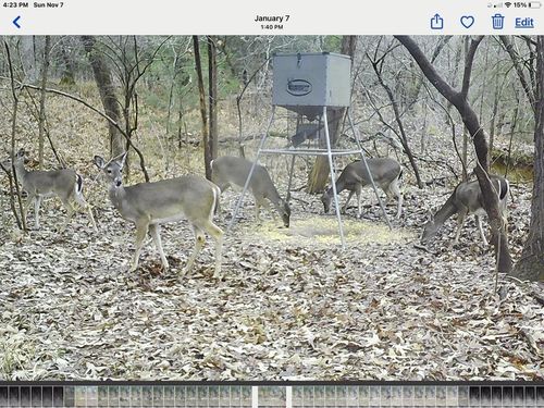 37100 County, Sumner, TX, 75486 | Card Image
